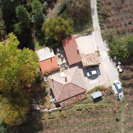 La Limonera Vendégház Riópar Kültér fotó