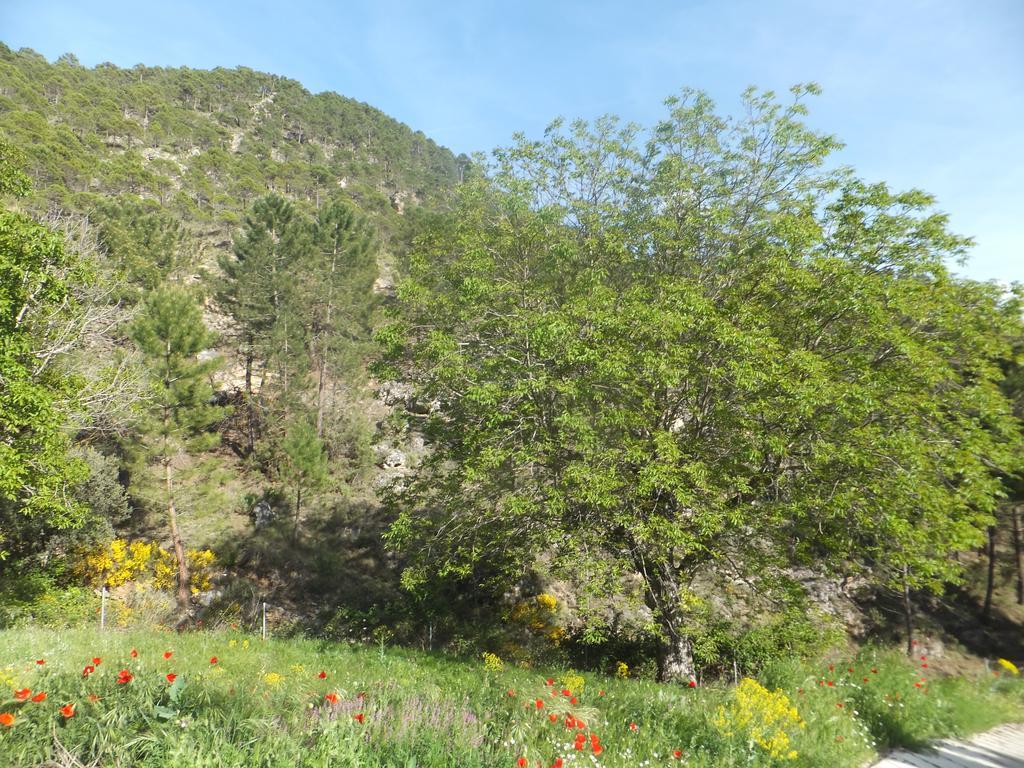 La Limonera Vendégház Riópar Kültér fotó